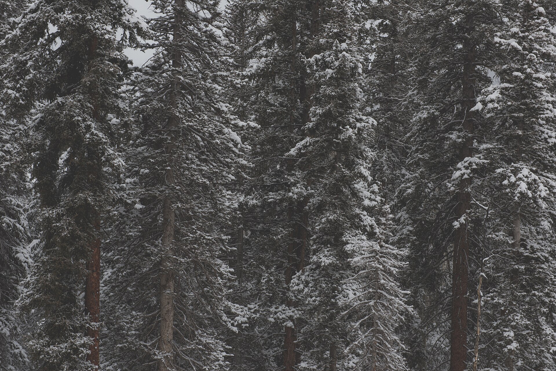 Photo of Rocky Mountain National Park, Colorado, USA